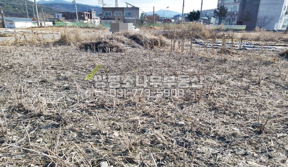 양평군 지평면 지평리 모든편의시설 도보5분
