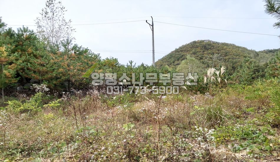 양평군 양동면 금왕리 무난한 네모반듯땅