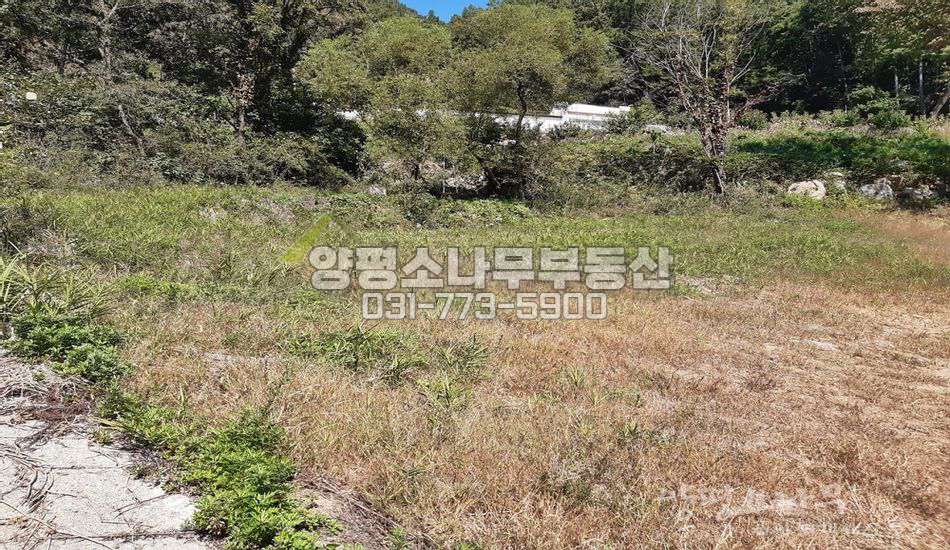 양평군 서종면 정배리 남동향 산조망/토목완료