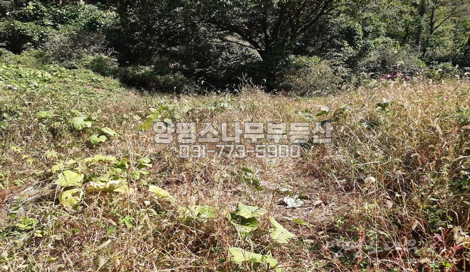 양평군 서종면 수입리 2차선접함/추가 국유지 사용