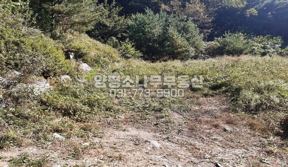 양평군 서종면 수입리 옆 산자락 남향전망/토목완료