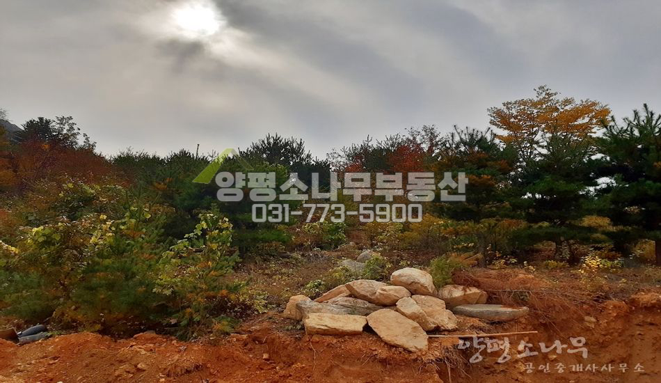 양평군 서종면 도장리 단지형/토목완료/북향트인전망