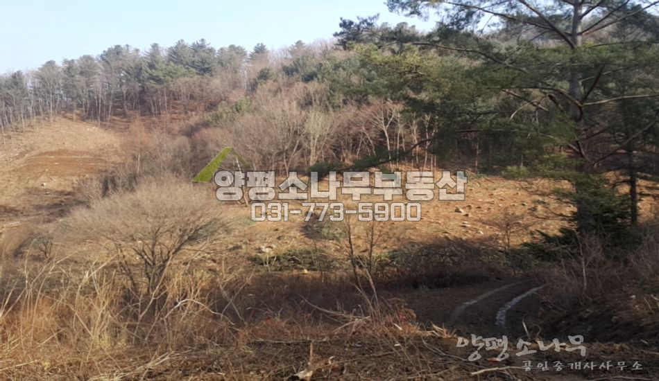양평군 단월면 산음리 자연휴양림 인근 독립적 입지