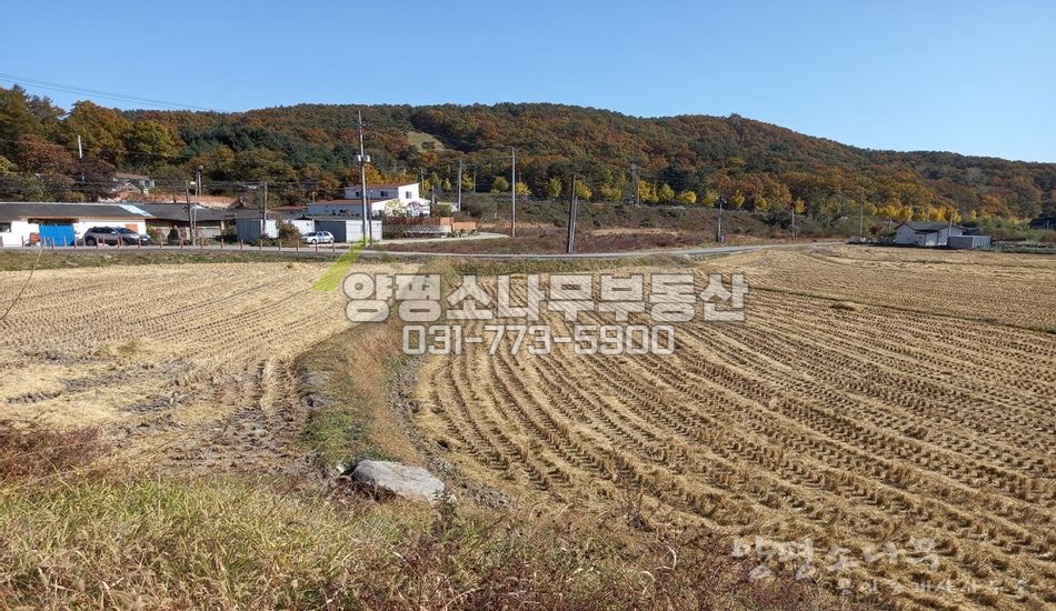 양평군 강상면 세월리 무난한 진흥구역 논