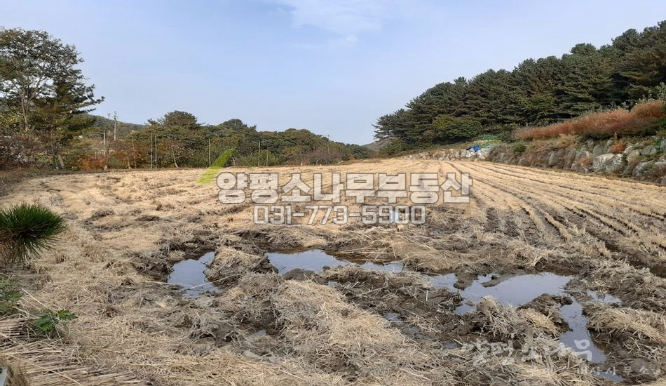 가평군 설악면 이천리 골프장 인근 평지 논