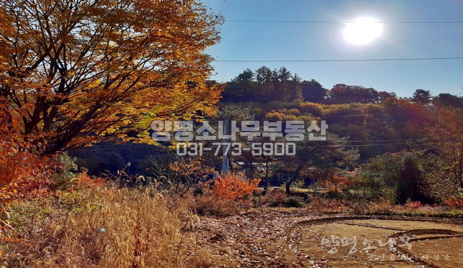 양평군 서종면 정배리 측면 산자락 평편한 부지