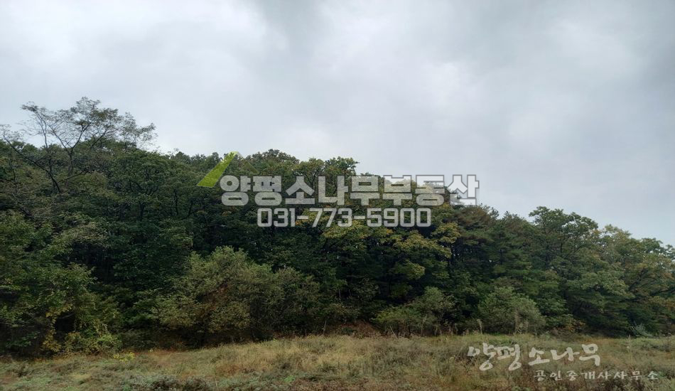 여주시 금사면 금사리 산자락 저렴한땅/맹지