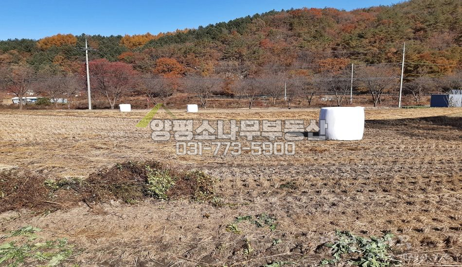 양평군 청운면 신론리 한적한 곳 평지/요양병원인근