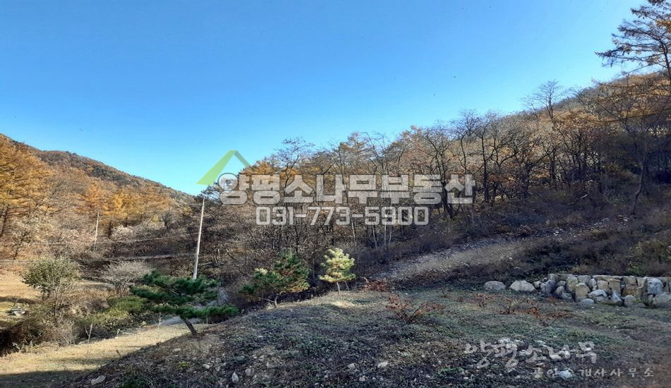 양평군 서종면 수입리 국유림 접한 산자락 땅