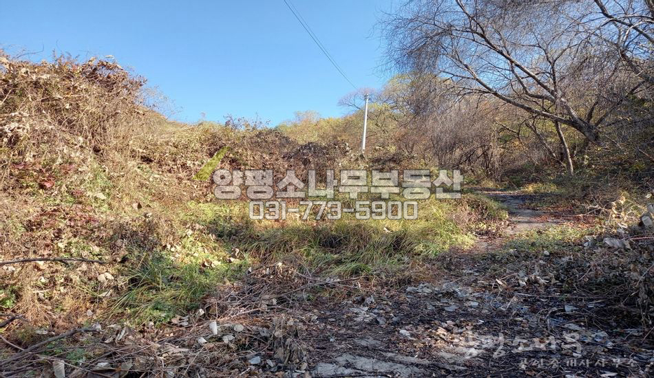 양평군 청운면 가현리 경사진 곳 외딴토지