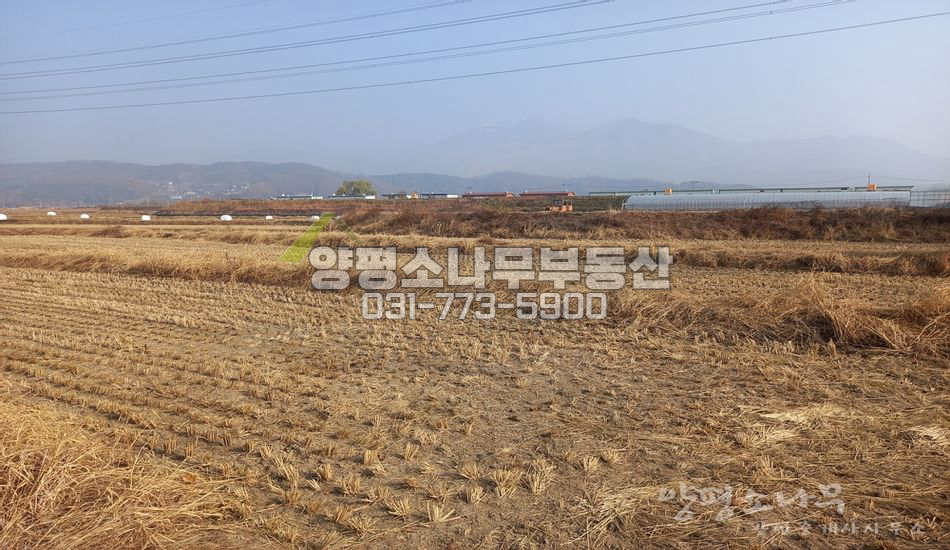 양평군 양평읍 덕평리 논밭 혼재지역 건축가능 농지