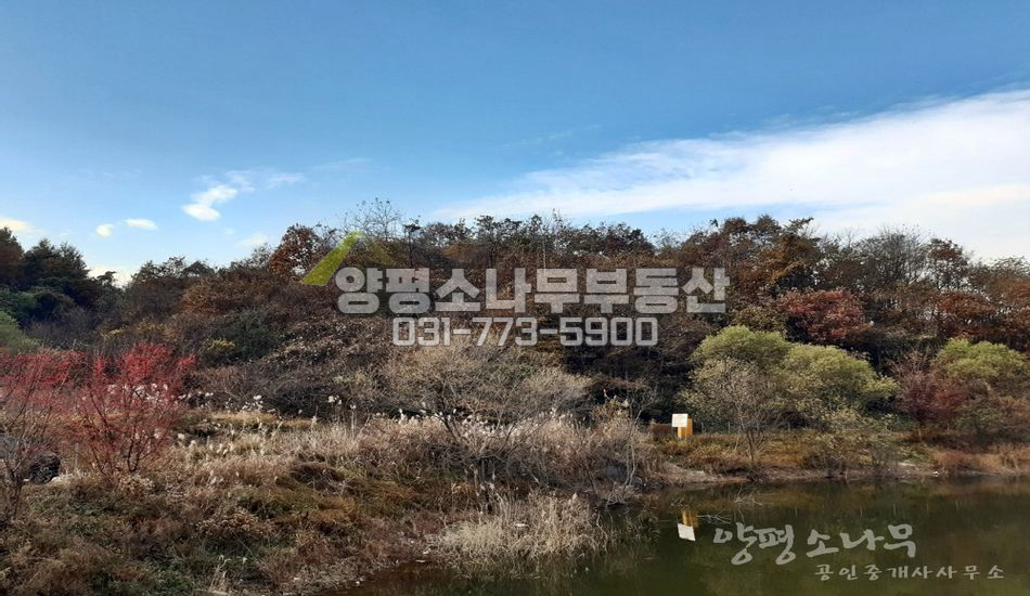 양평군 지평면 대평리 저수지 인근 임야