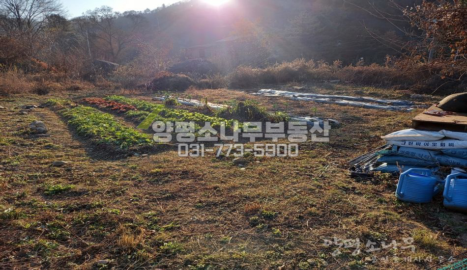 양평군 서종면 노문리 숲속 아늑한 마을