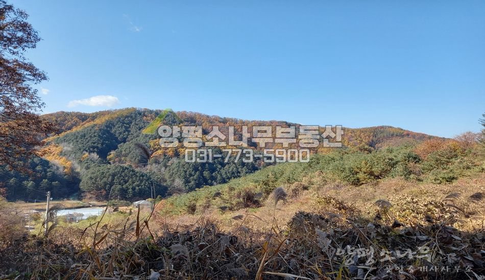양평군 청운면 가현리 산자락 경관좋은 땅/독립적 입지