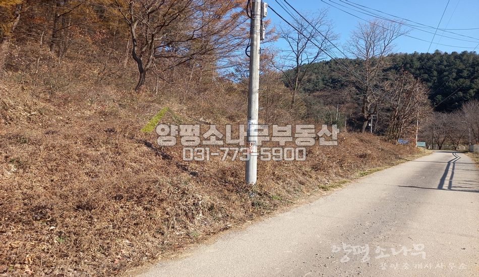 양평군 서종면 수입리 산자락 남향필지