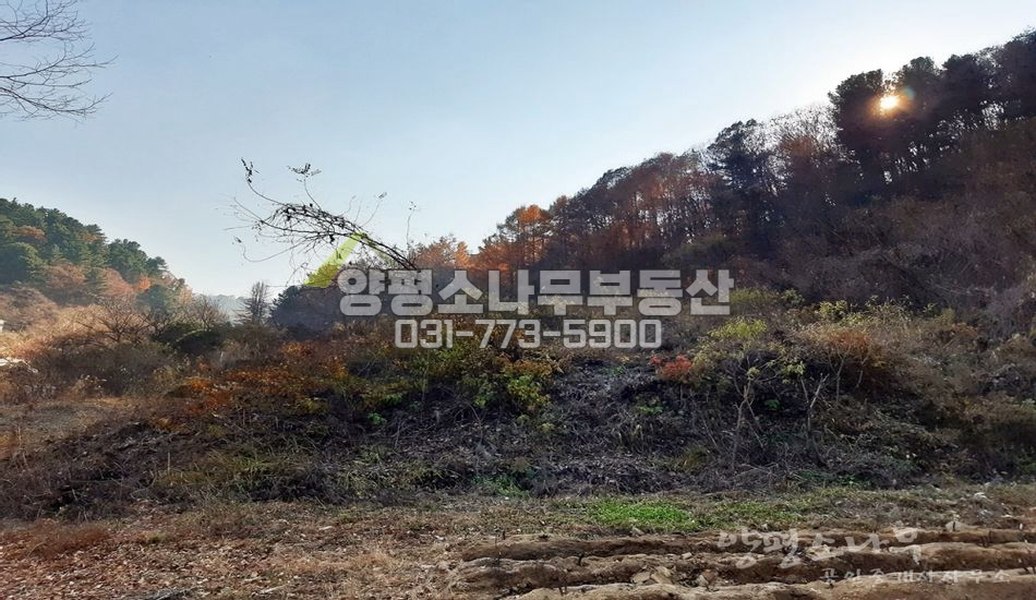 양평군 서종면 정배리 완경사지 산자락 필지