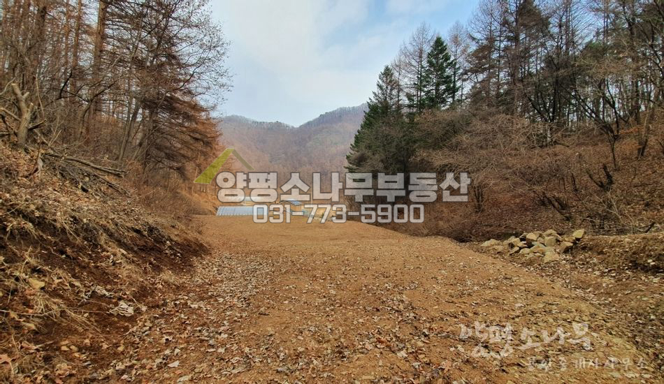 양평군 청운면 여물리 국유림 접한 소형땅/독립적 입지
