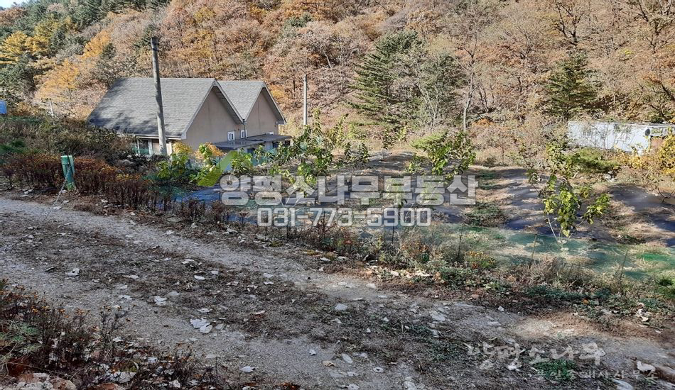 양평군 서종면 수입리 국유림 접한 남향 필지