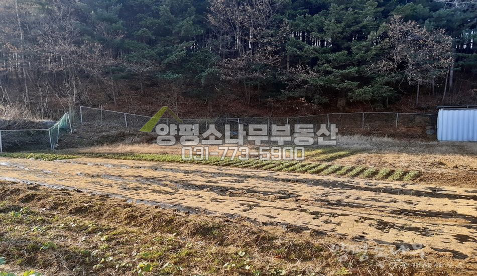 광주시 퇴촌면 영동리 산자락 남향 잘닦인 주택지