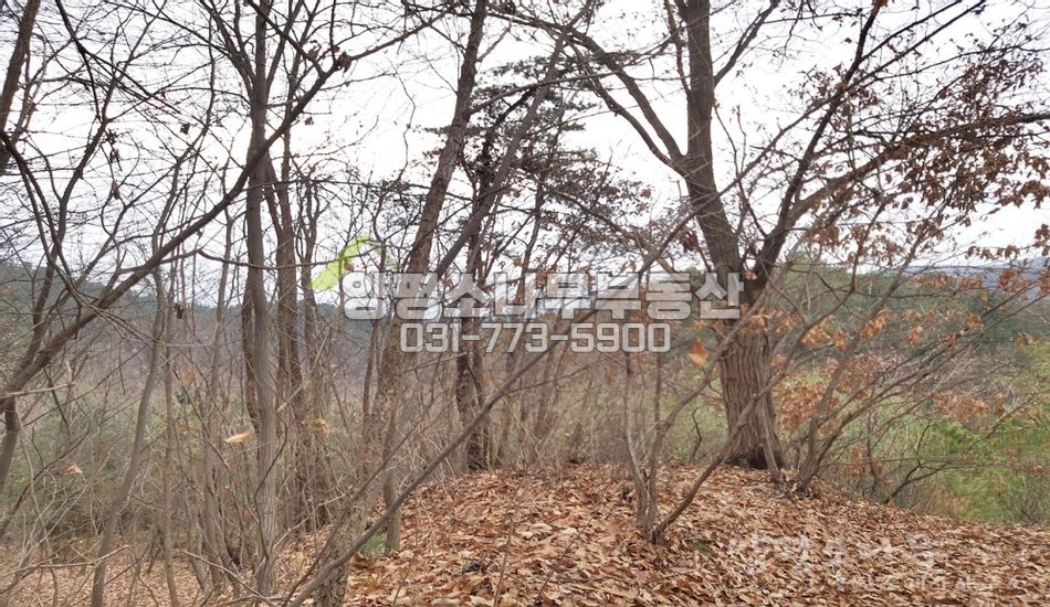 양평군 양서면 증동리 급경사지 맹지