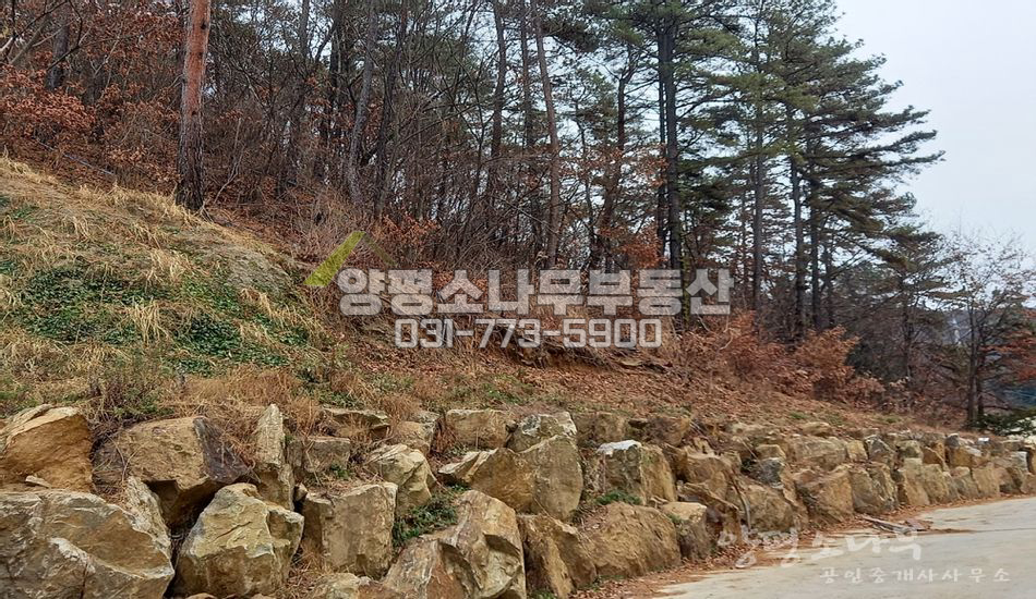 양평군 용문면 광탄리 흑천 인근 자연림 임야