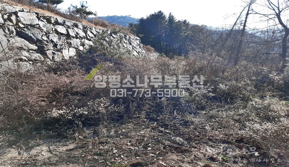 양평군 서종면 서후리 마을 안쪽 넓은 터