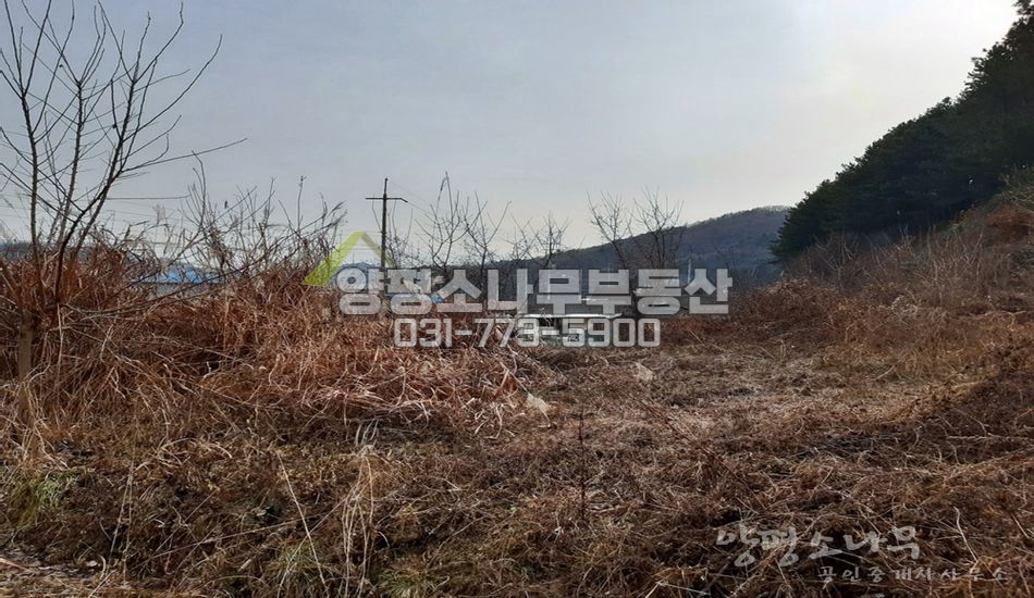 양평군 단월면 향소리 산자락 완경사/차량진입X