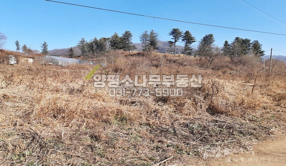 양평군 서종면 정배리 완경사지 남향 트인전망/접근성 상