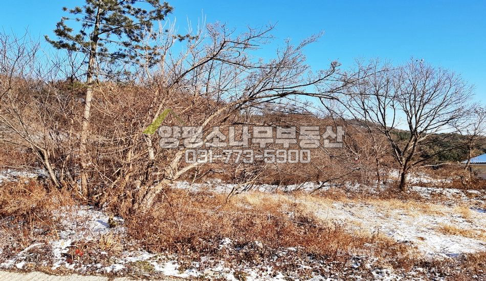 양평군 강상면 세월리 남향전망/토목별도