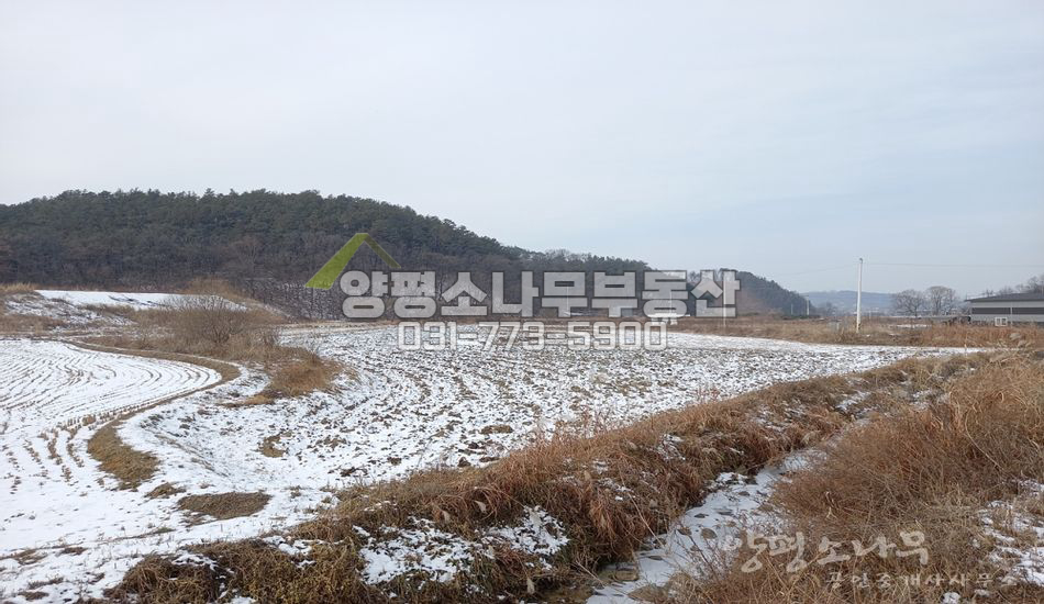 양평군 개군면 불곡리 37번국도 인근 진흥구역 농지