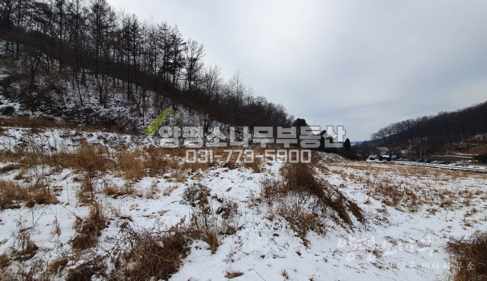 양평군 지평면 대평리 산자락 별장지/하천접함/골프장인근