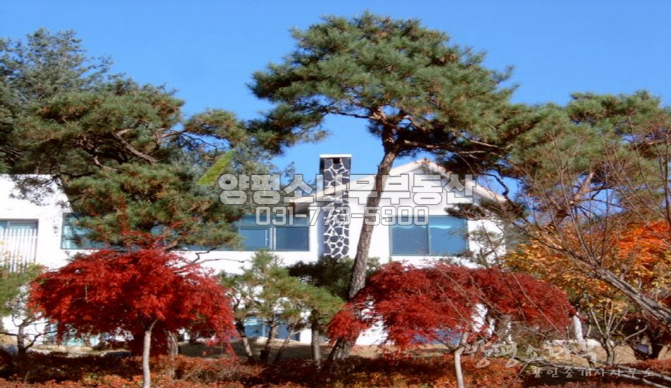 양평군 서종면 도장리 숲 속 별장/실제 건평 70평