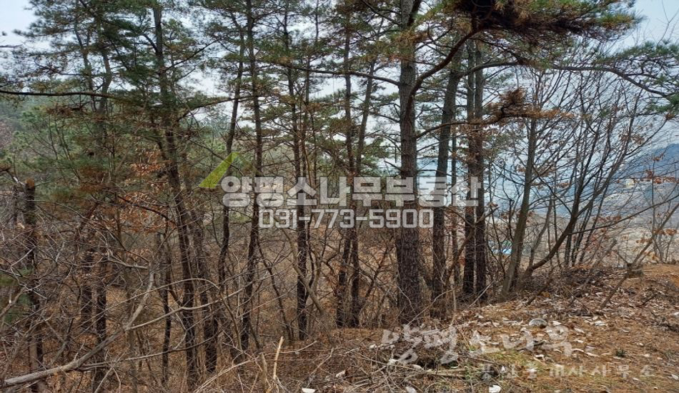양평군 양서면 복포리 단지형 남서향 필지/국수역3.8km