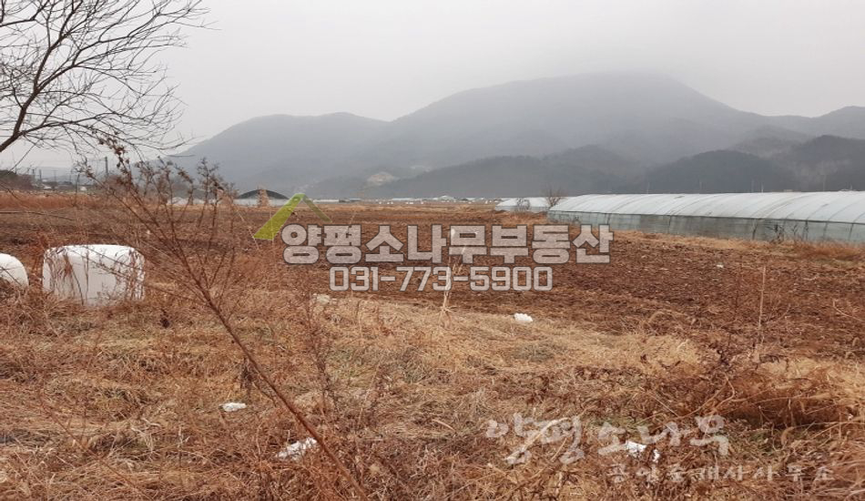 양평군 양평읍 원덕리 원덕역 300미터 진흥구역 농지