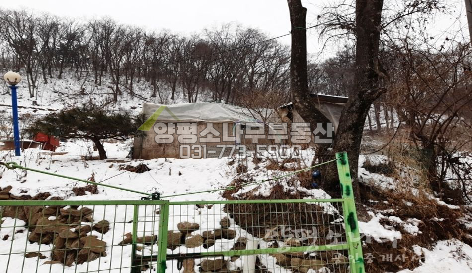 광주시 퇴촌면 영동리 넓은 임야/농막/전기/그린벨트