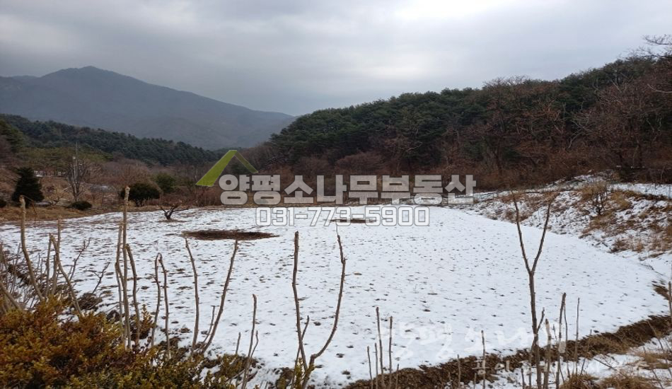 양평군 용문면 오촌리 마을 안쪽/한적한곳/도로보다낮음