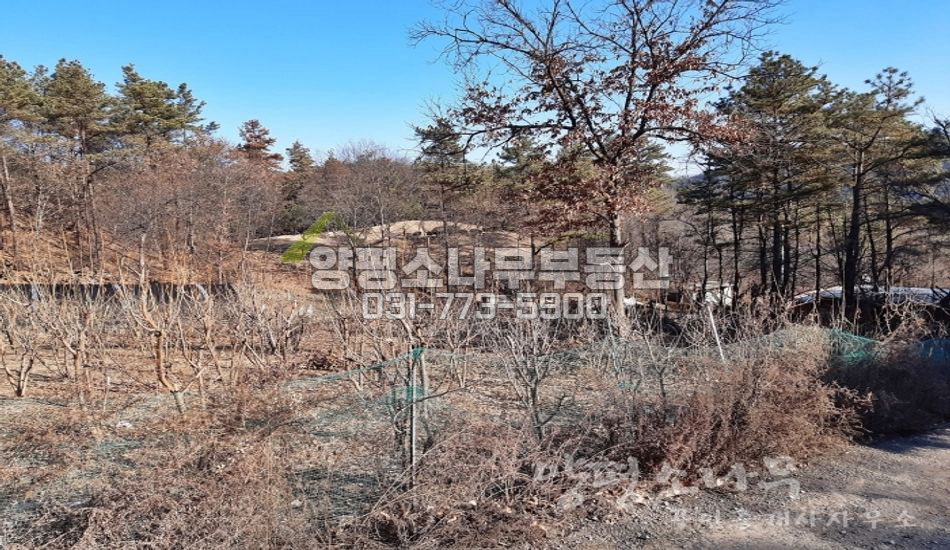 양평군 용문면 조현리 마을 안쪽 밭(건축가능)/개울 접함