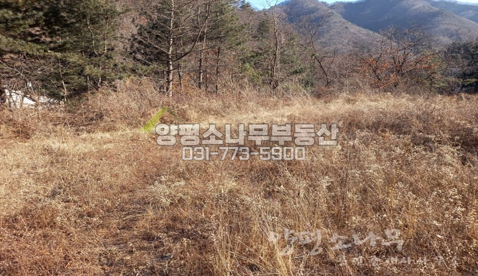 가평군 청평면 삼회리 평지 나대지/지방도400미터