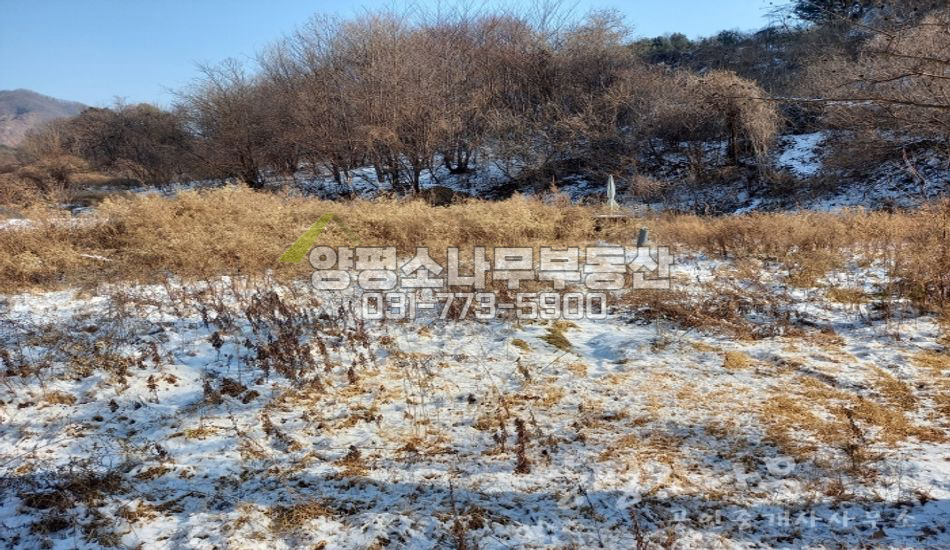 양평군 서종면 정배리 산자락 완만한곳/서향전망