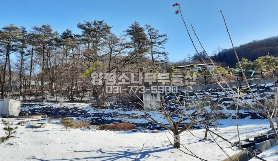 양평군 강하면 동오리 마을 안쪽 완만한 임야