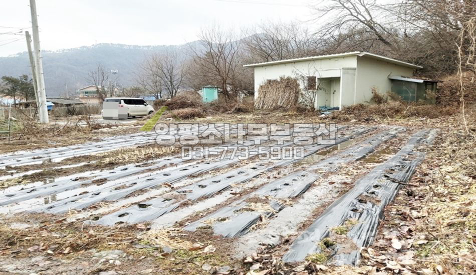 양평군 강상면 세월리 평지 마을 내/초등학교 도보/농막
