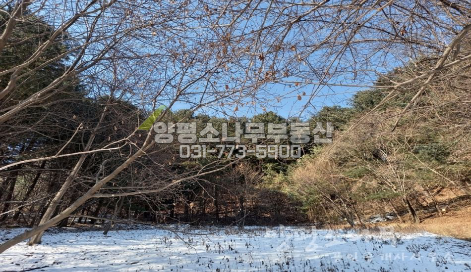 양평군 서종면 명달리 독립적 입지/임야/동향 산조망