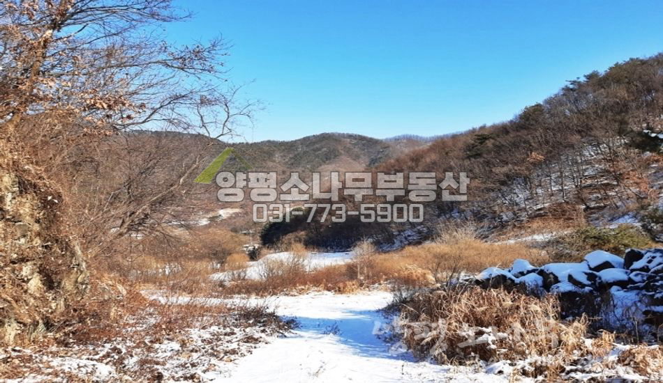 양평군 지평면 월산리 마을상단 임야
