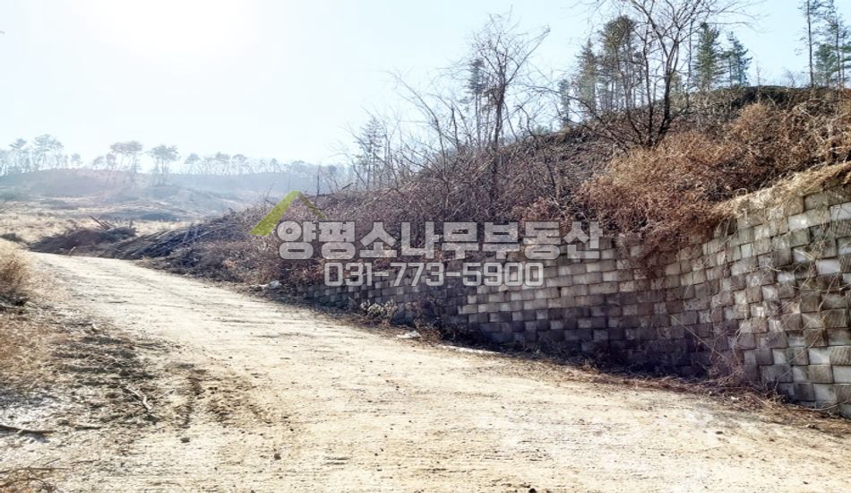 양평군 강하면 성덕리 개발부지 임야