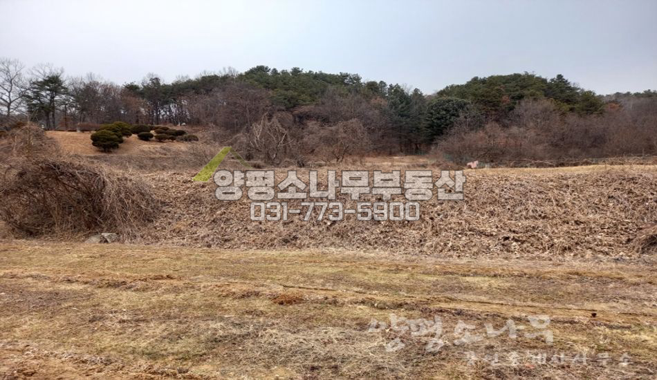양평군 옥천면 아신리 아신역900m/자연스런 땅