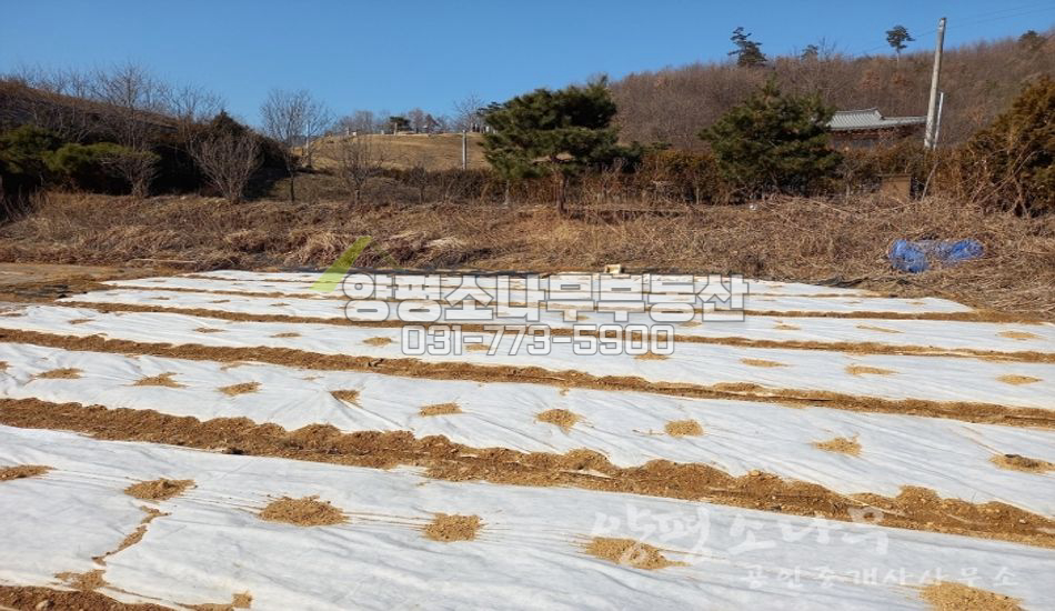 양평군 강상면 세월리 남동향 전망/자연스런땅/초등학교도보