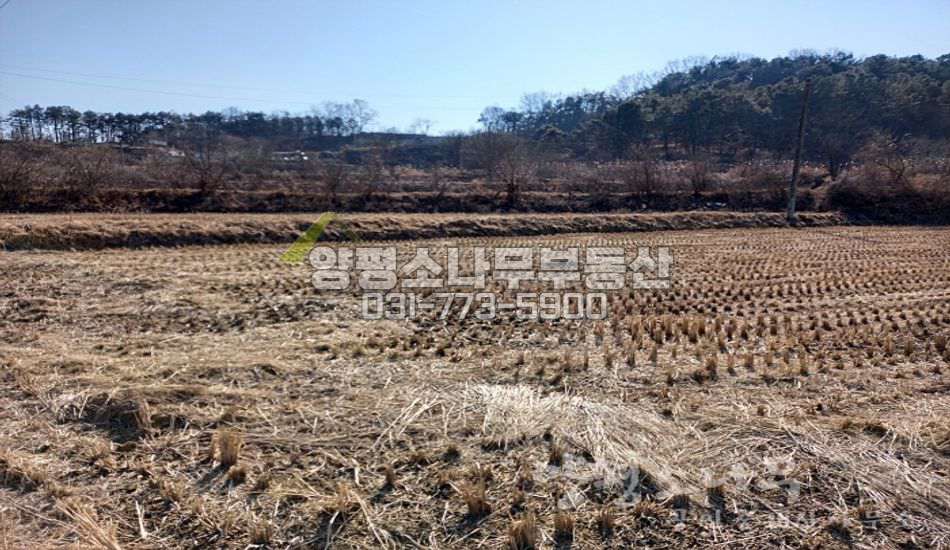 양평군 양평읍 도곡리 철도부지 접한땅