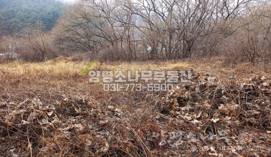 양평군 양서면 증동리 1억대 소형토지