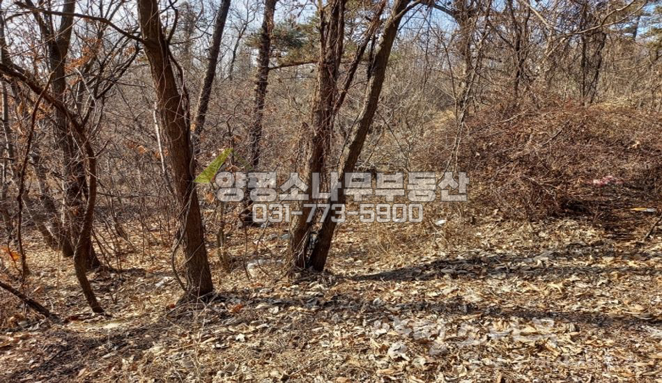 양평군 양평읍 백안리 인적드문곳/경사지/토목필요 