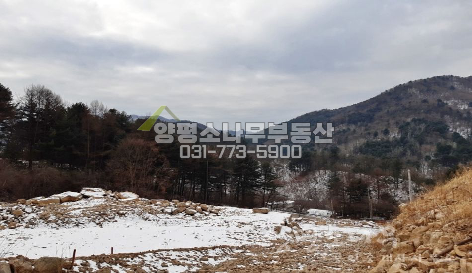 양평군 서종면 명달리 버섯재배 허가/자연림